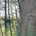 Casa Da Xica - Refúgio De Campo Сasa de vacaciones *
