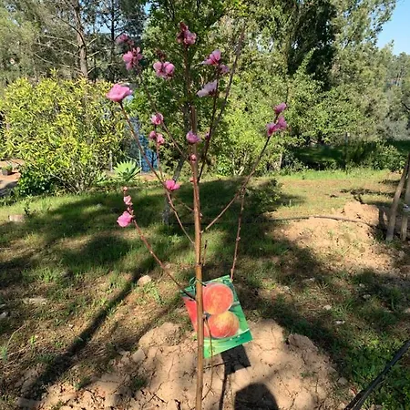 Dom wakacyjny Casa Da Xica - Refugio De Campo