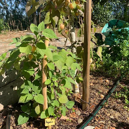 Casa Da Xica - Refugio De Campo *