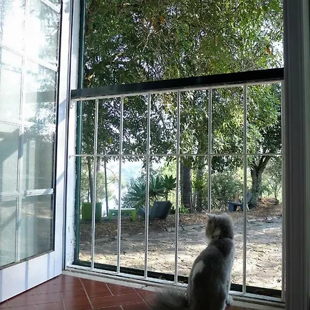 Casa Da Xica - Refugio De Campo Martinchel