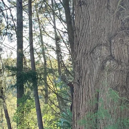 Casa Da Xica - Refugio De Campo Ferienhaus *